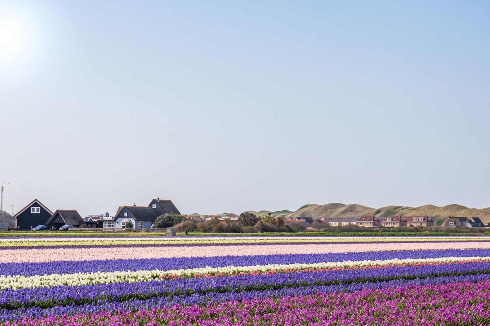 Vakantiehuis Nordseezauber - Callantsoog Aan Zee Экстерьер фото